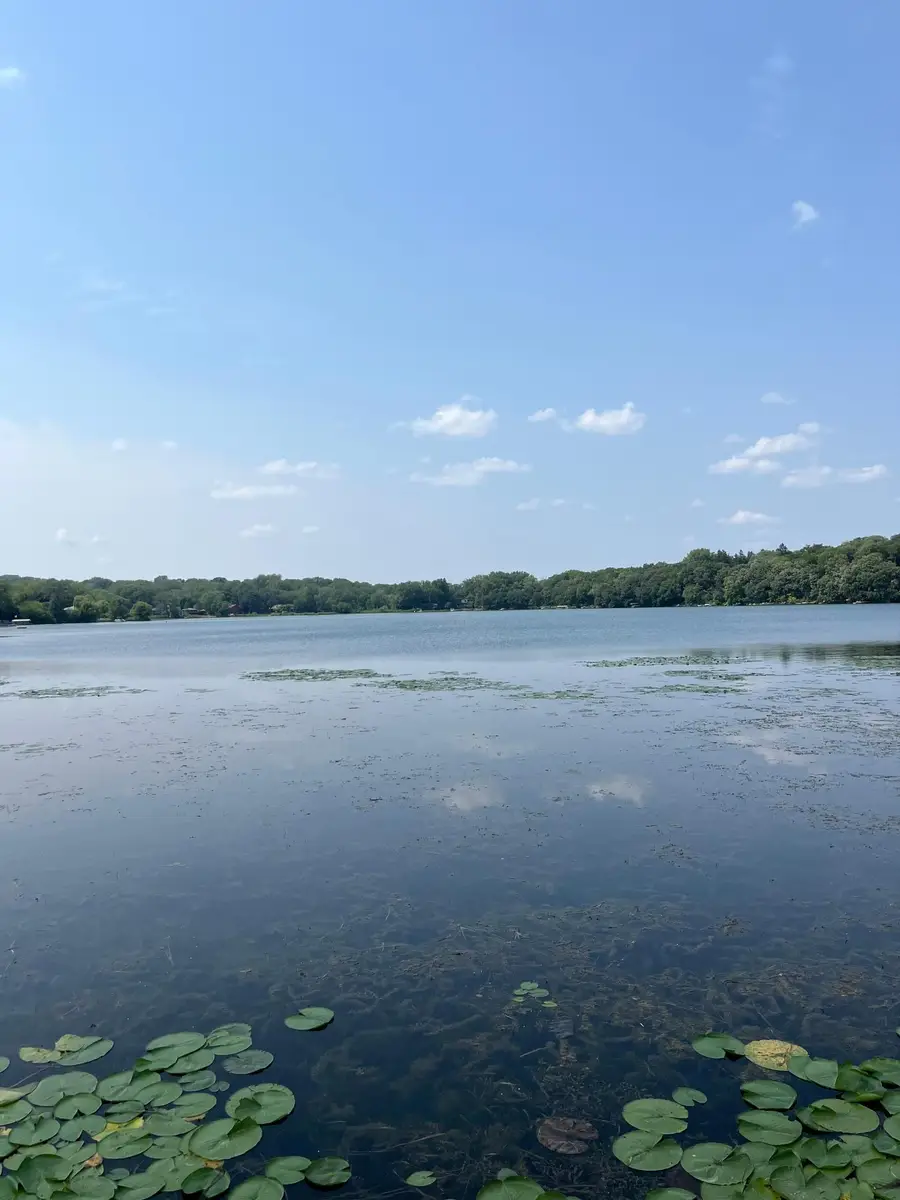 222 Mccarrons Place W, Roseville, MN 55113 - #3