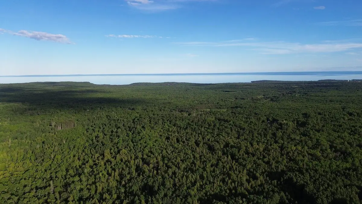 12XX Reeves Road, Two Harbors, MN 55616 - #1