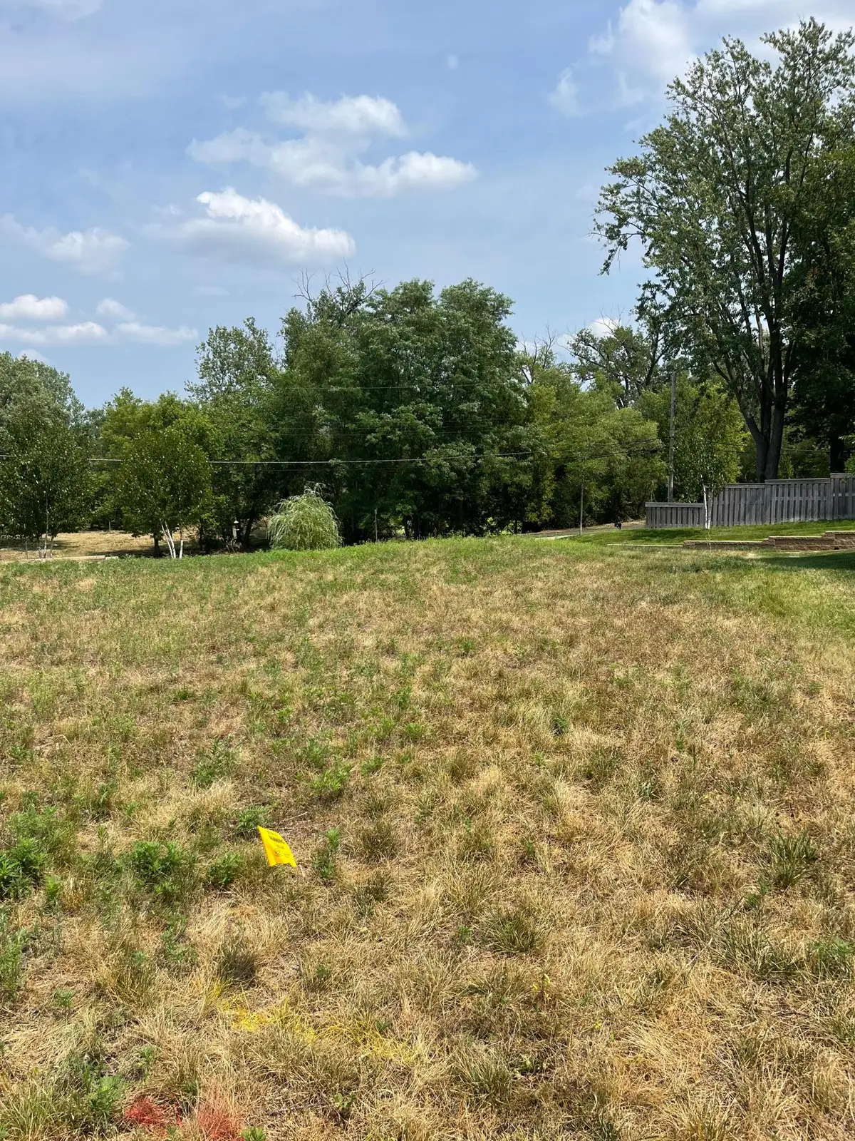 226 Mccarrons Place W, Roseville, MN 55113 - #1
