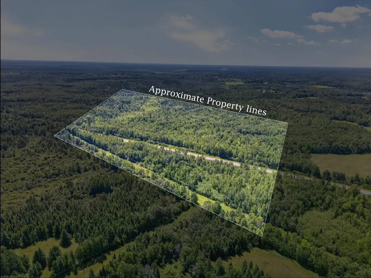 TBD Hwy 73, Floodwood, MN 55736 - #1
