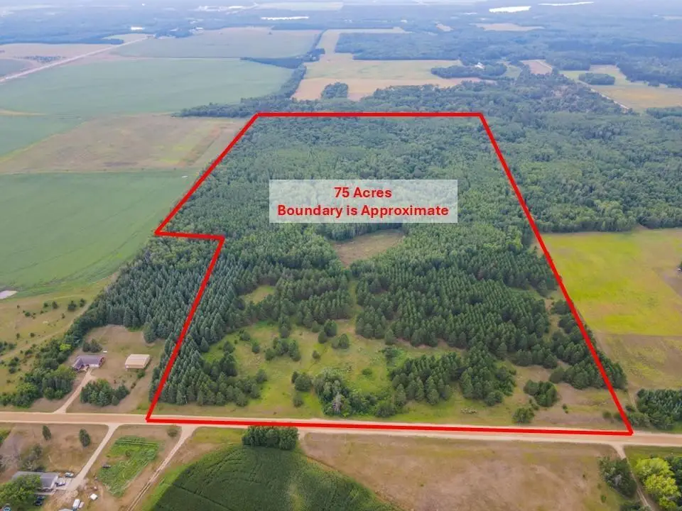 TBD County Road 125, Park Rapids, MN 56470 - #1