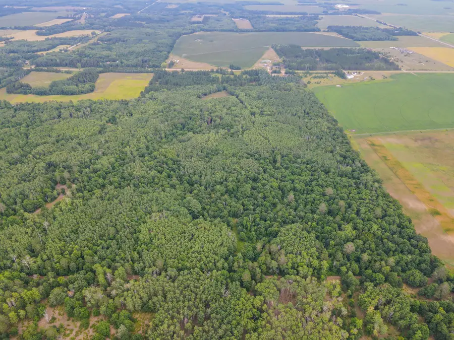 TBD County Road 125, Park Rapids, MN 56470 - #3