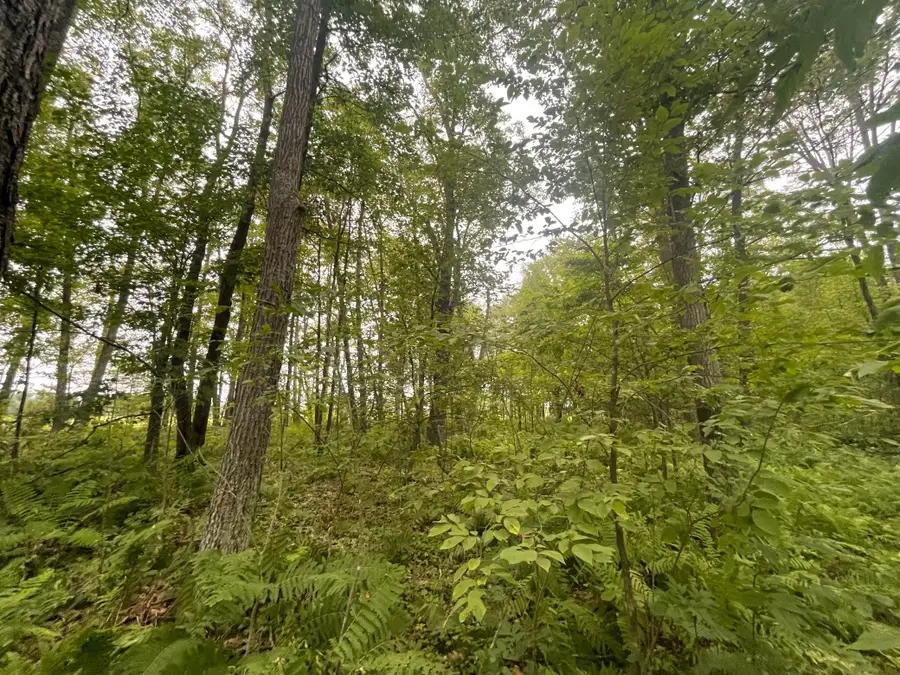 2668 Quail Street, Brook Park, MN 55007 - #3