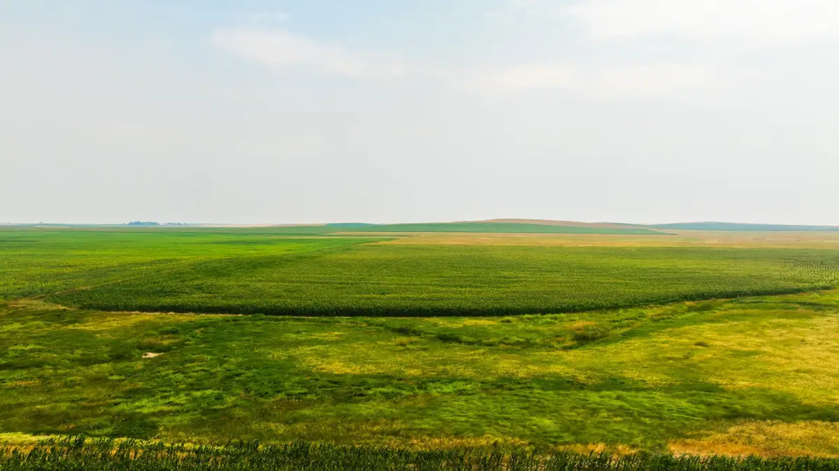 TBD Sec 25 3 Ave Se Lot 5, Orange, ND 58639 - #1