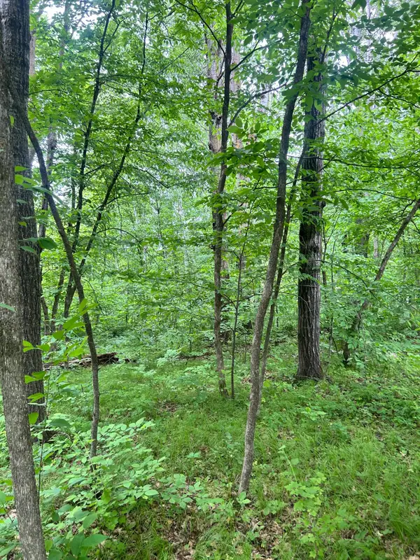 TBDxx Flintstone Road, Cushing, MN 56443