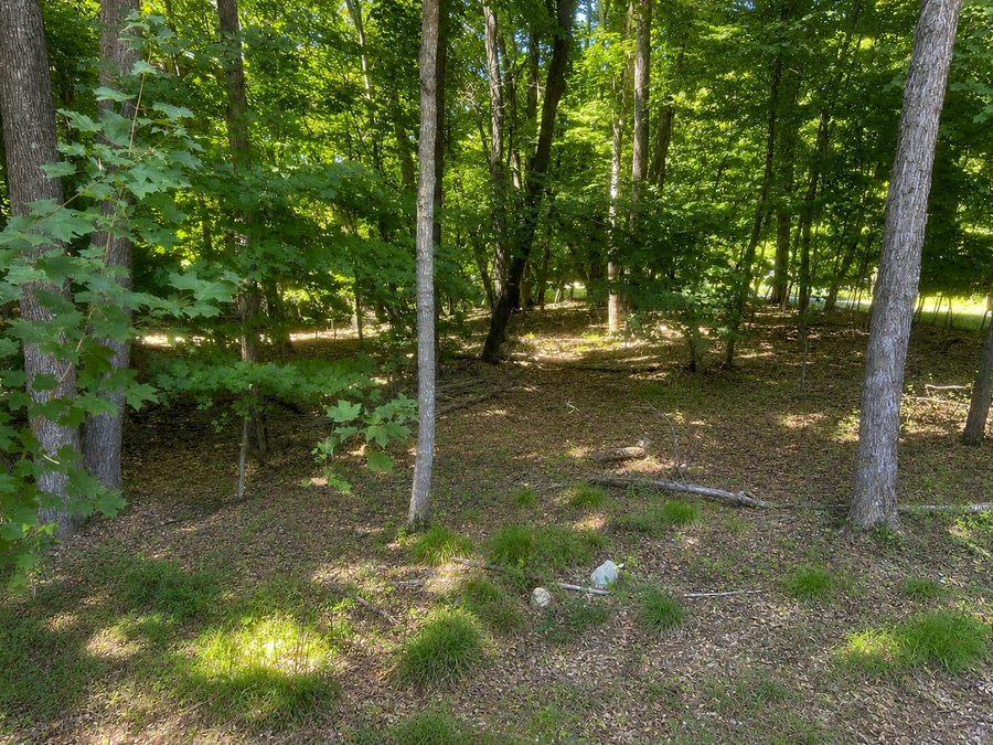 48722 428th Street, Perham, MN 56573 - #2