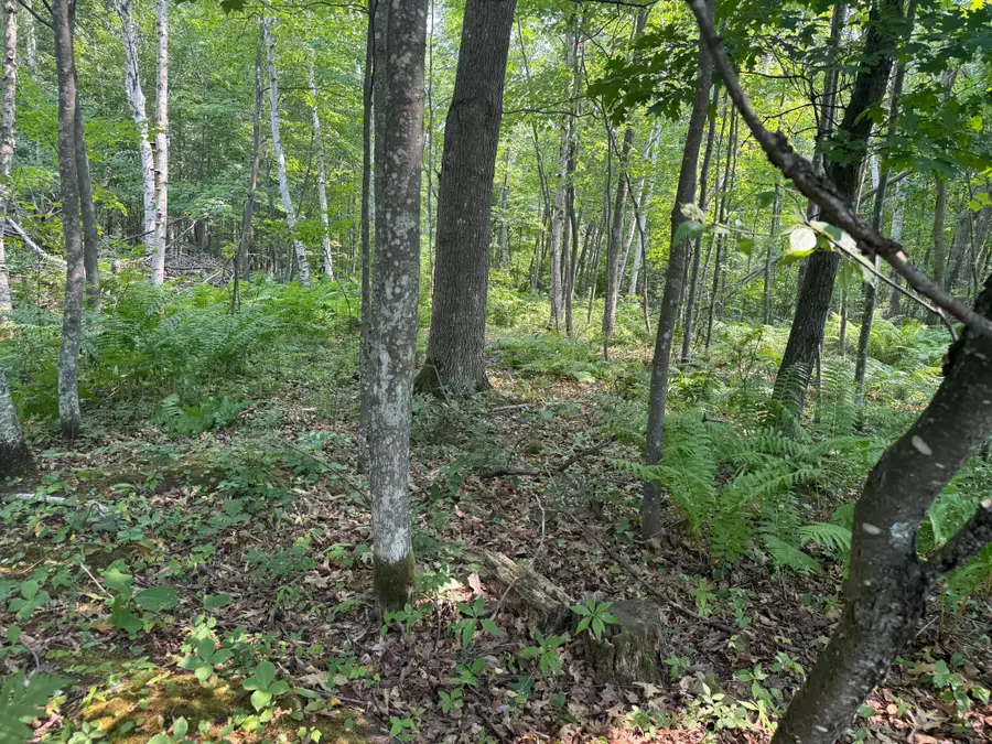 TBD Woodstock Road, Sturgeon Lake, MN 55783 - #2