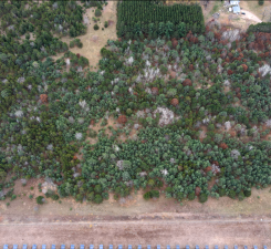 Lot 2 Kable Avenue, North Branch, MN 55056 - #2