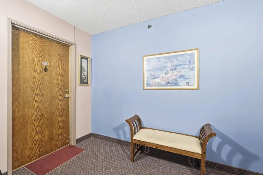 32 11th Avenue S #202, Hopkins, MN 55343 - #2