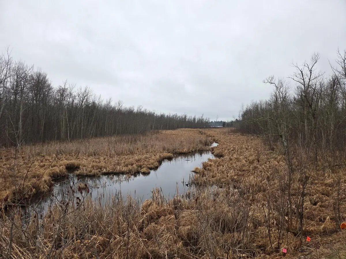 TBD County 11, Longville, MN 56655 - #1