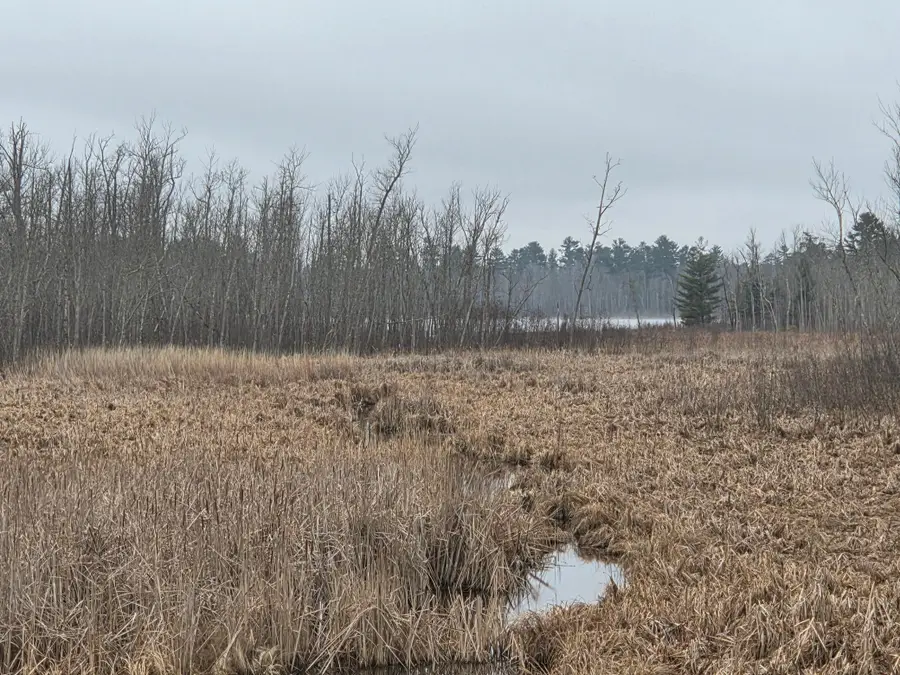 TBD County 11, Longville, MN 56655 - #2