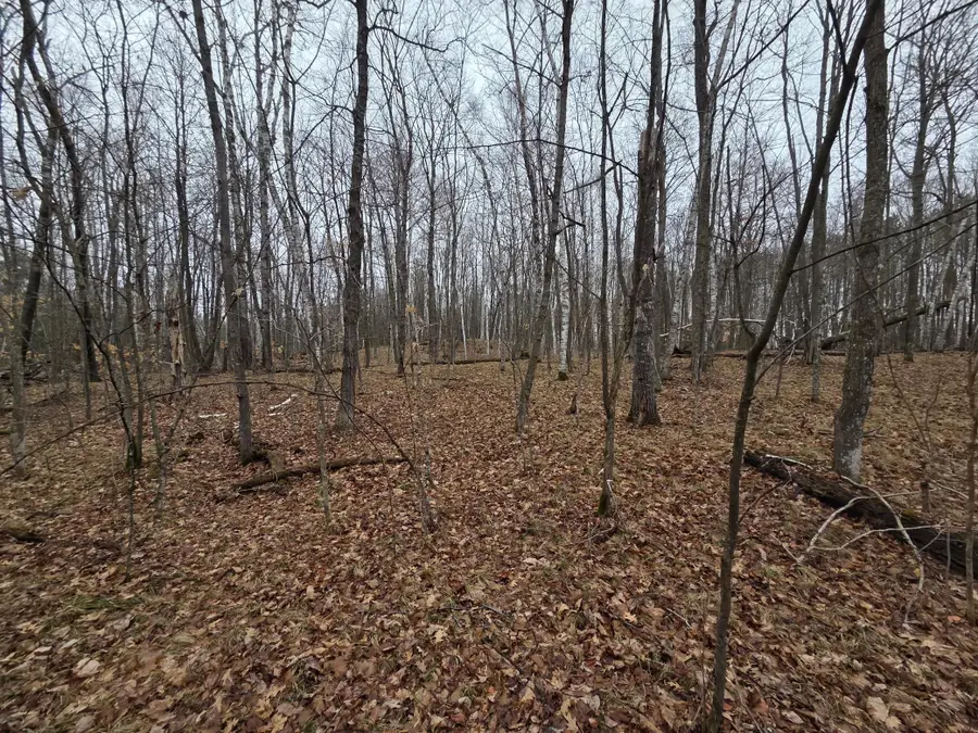 TBD County 11, Longville, MN 56655 - #3
