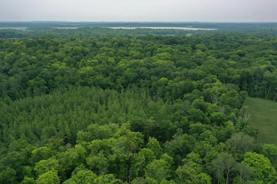 TBD N Cotton Lake Road, Rochert, MN 56578 - #3