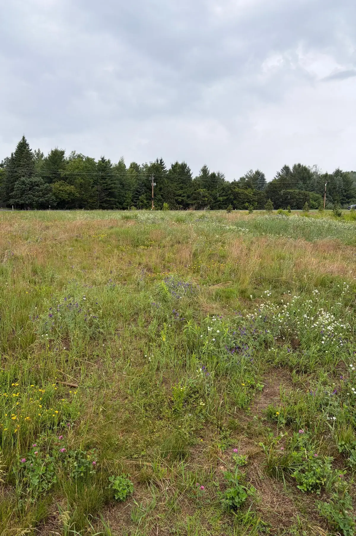 825 174th Avenue Ne, Ham Lake, MN 55304 - #1