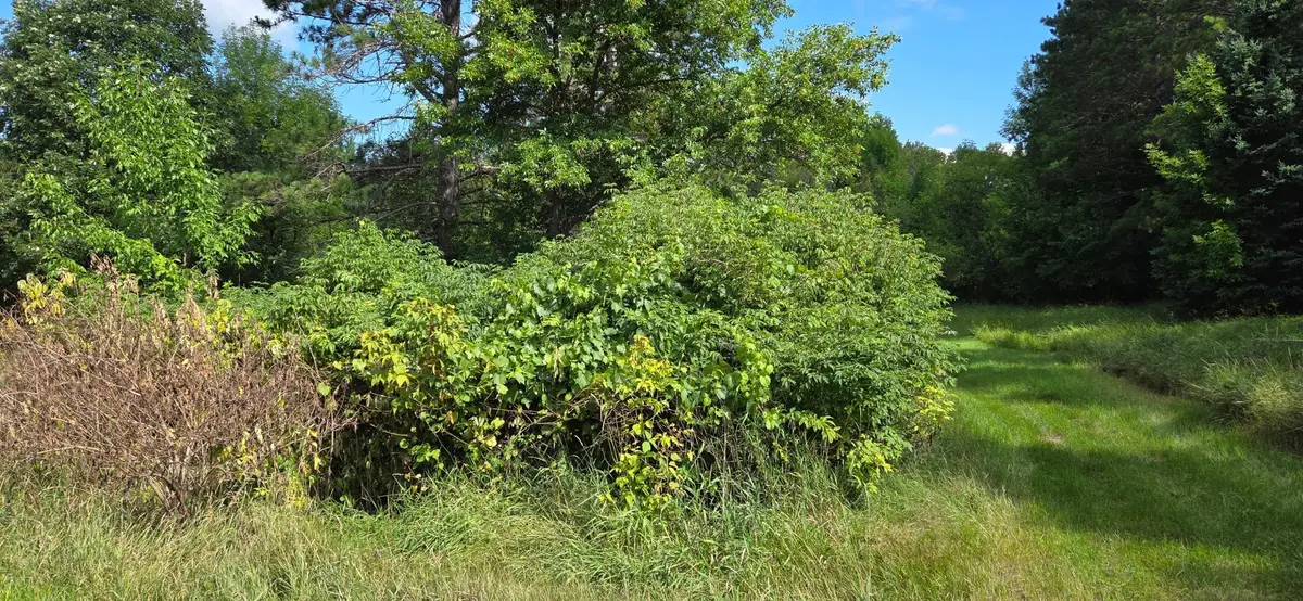 TBD Lot #3 Town Road 207, International Falls, MN 56649 - #1
