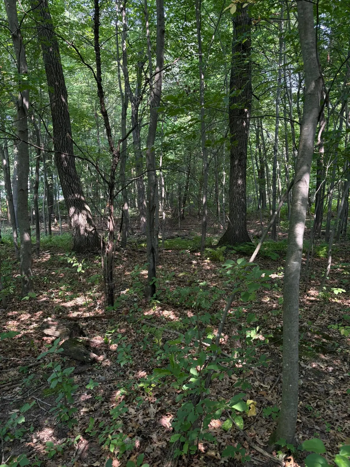 TBD 366th Street, North Branch, MN 55056 - #1