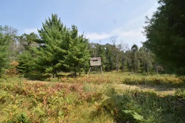 Lot 1 Pleasant Acres Trail, Danbury, WI 54830