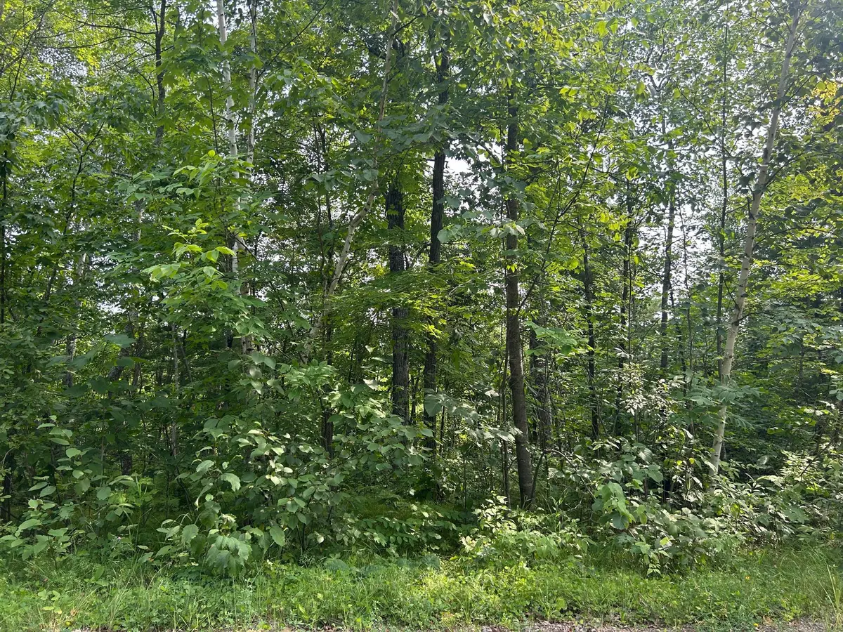TBD Central Street, Garrison, MN 56450 - #1
