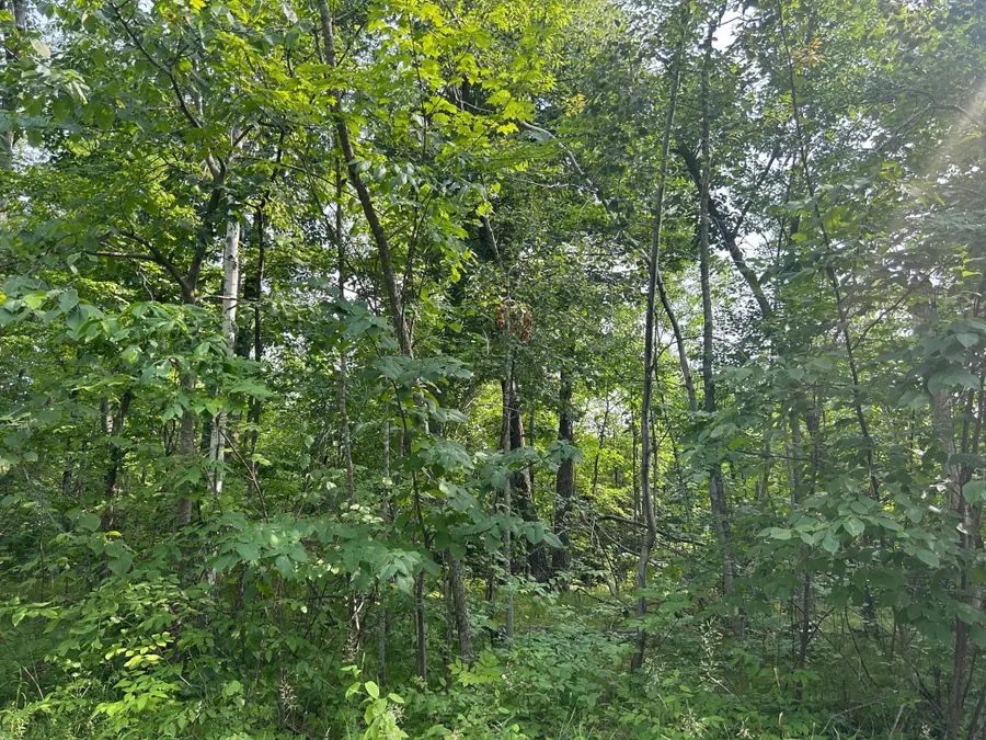 TBD Central Street, Garrison, MN 56450 - #2