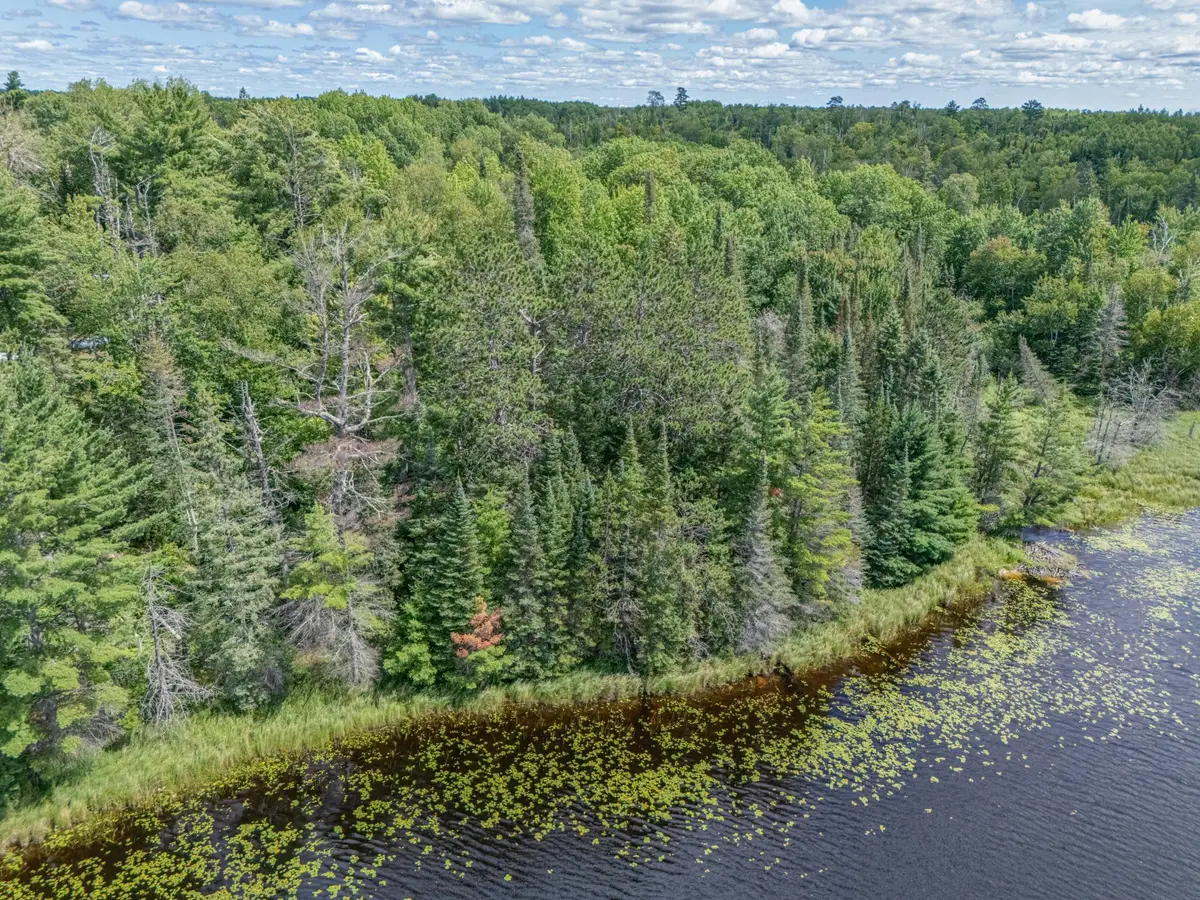 TBD East Elizabeth Lake Trail, Bovey, MN 55709 - #1