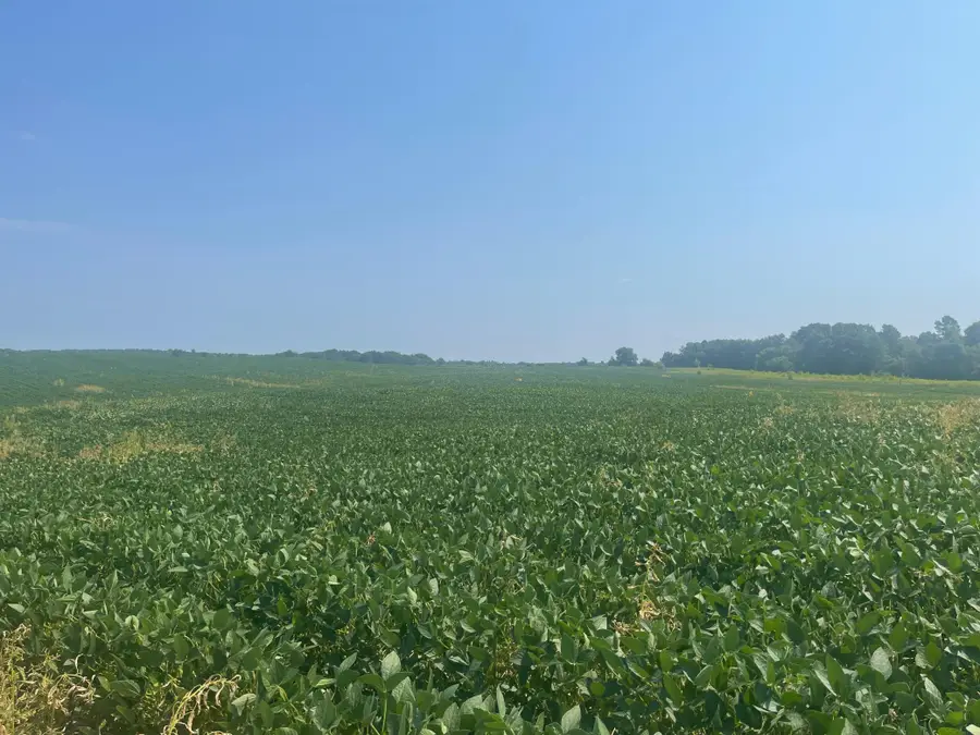 XXXX 190th Street, Centuria, WI 54824 - #3