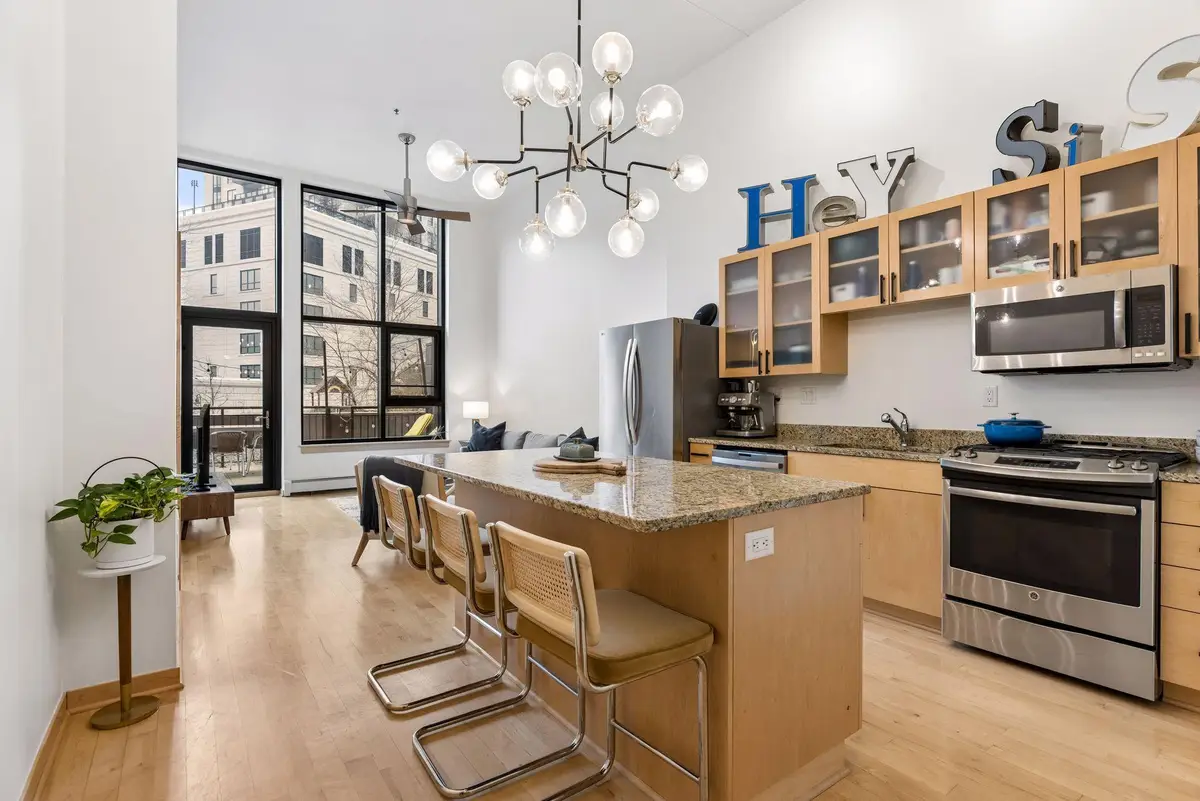 1120 S 2nd Street #102, Minneapolis, MN 55415 - #1