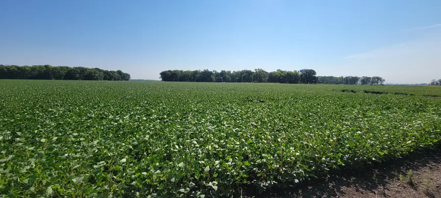 0 Rural, Oslo, MN 56744 - #3
