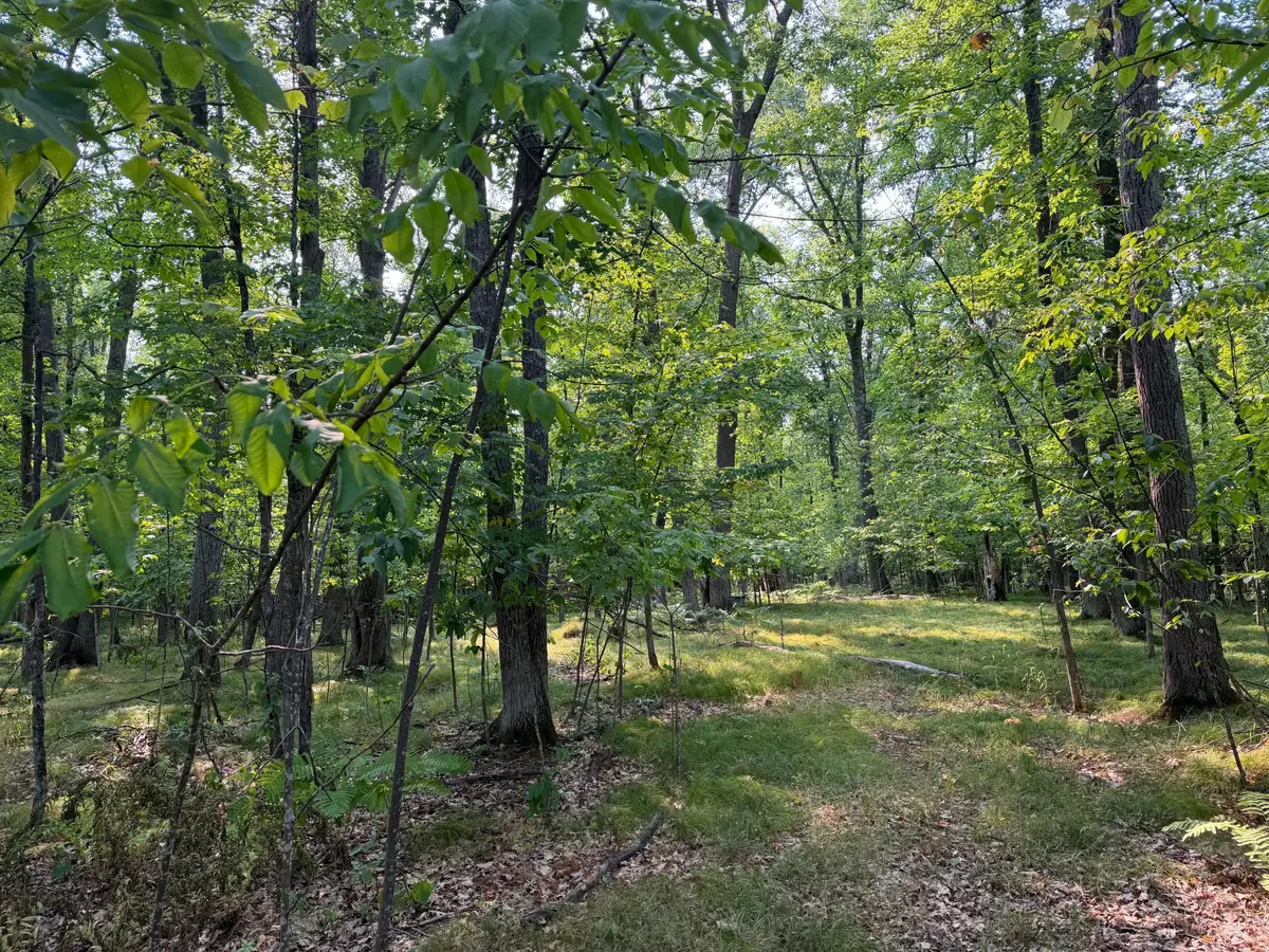 81871 Schoumaker Road, Willow River, MN 55795 - #1