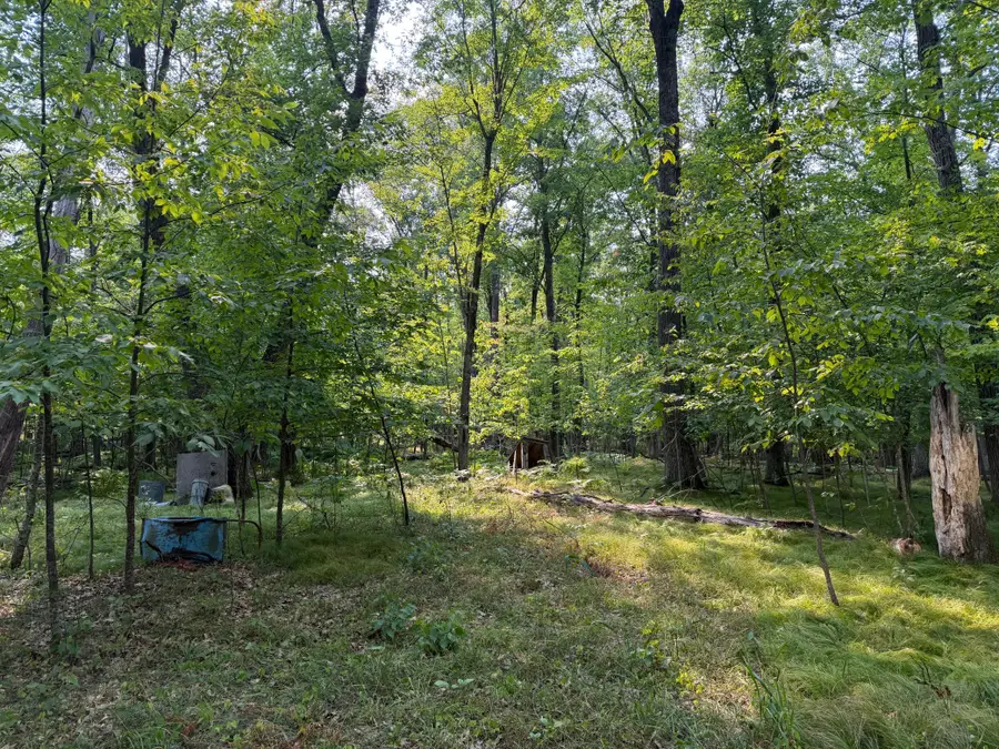 81871 Schoumaker Road, Willow River, MN 55795 - #2