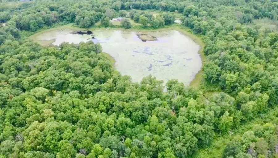 xxxx State Highway 84, Longville, MN 56655 - #2