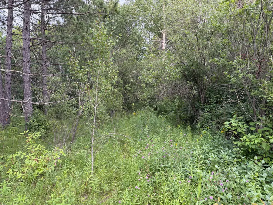4788 Town Road, Ray, MN 56669 - #3