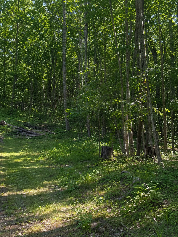 TBD Birchcurve Road, Randall, MN 56475