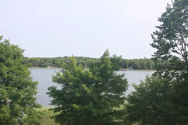 38173 County Highway 34, Ogema, MN 56569