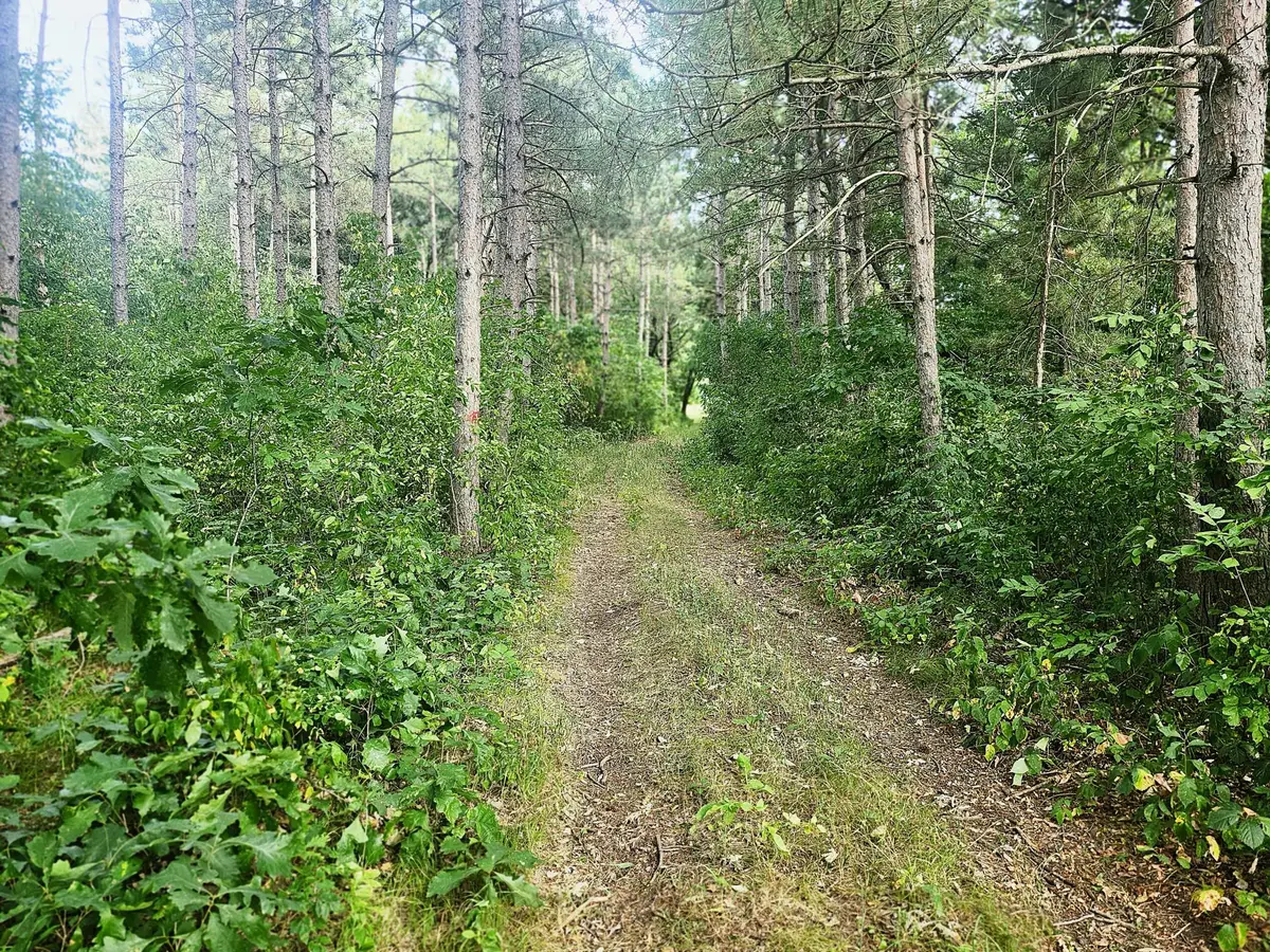 TBD 400th Street, Browerville, MN 56438 - #1