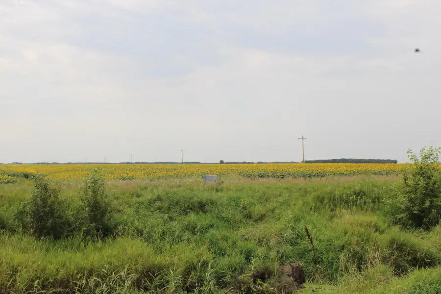 000 State Hwy 219, Goodridge, MN 56725 - #3