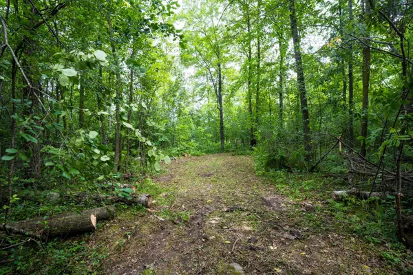 7xxx 200th St., Milaca, MN 56353