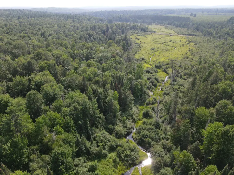 LOT 2 Smith Road, Couderay, WI 54828 - #3