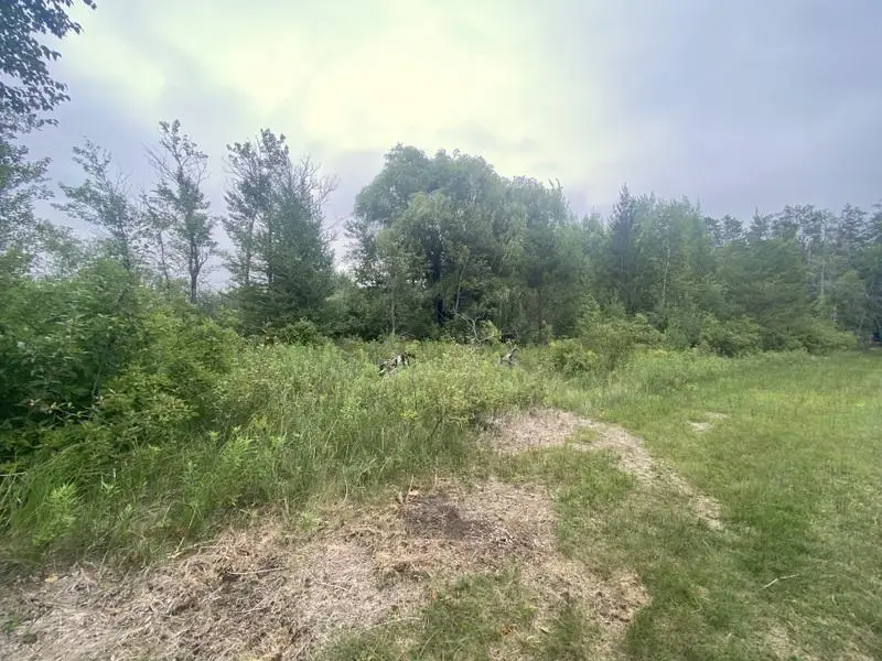 24627 County Road 3, Merrifield, MN 56465 - #3