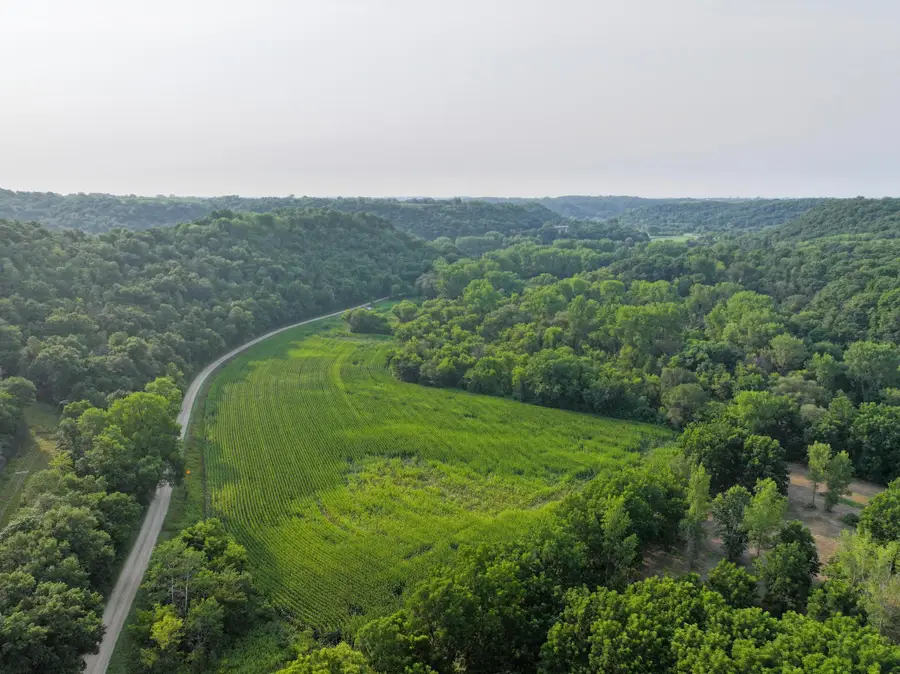 tbd 299th Ave, West Albany, MN 55041 - #3