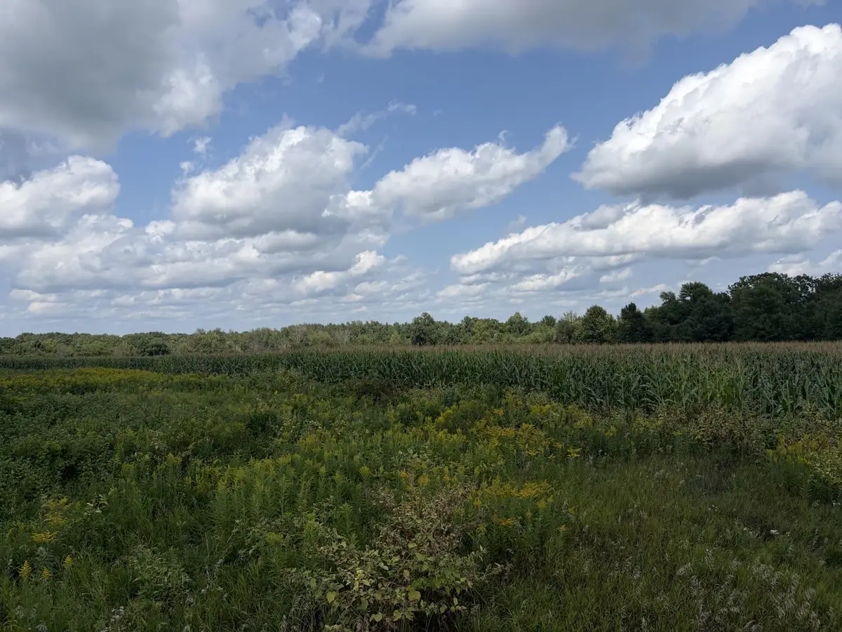 73 45th Avenue, Clayton, WI 54004 - #1