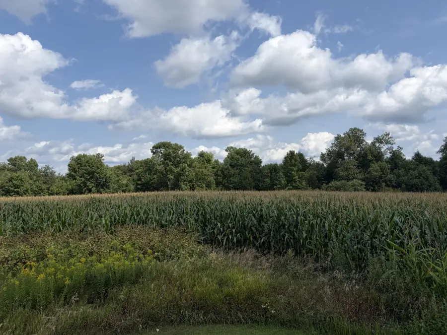 73 45th Avenue, Clayton, WI 54004 - #2