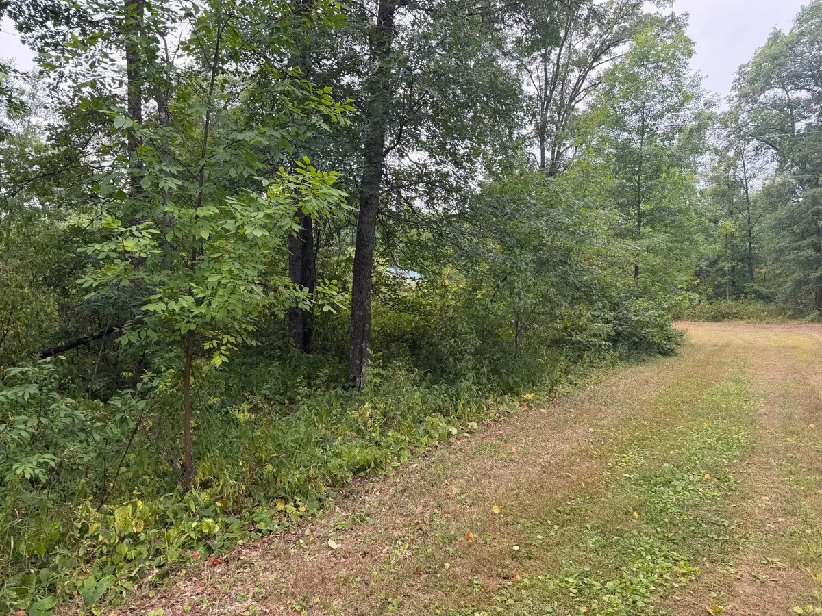 Lot 1 Whitetail, Crosby, MN 56441 - #1
