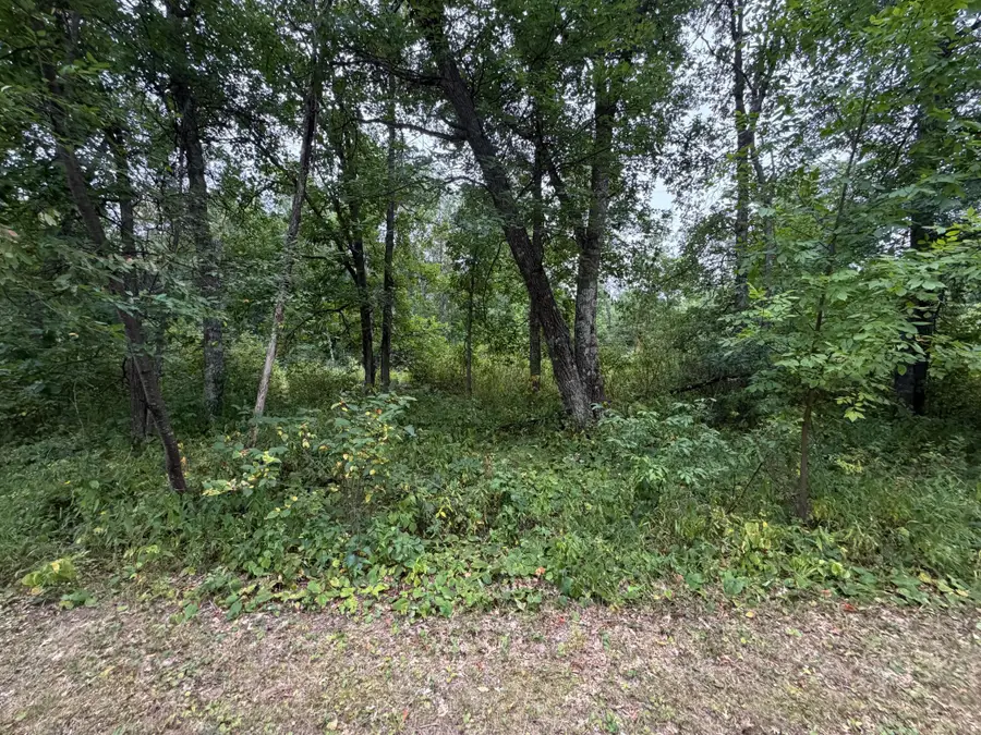 Lot 1 Whitetail, Crosby, MN 56441 - #2