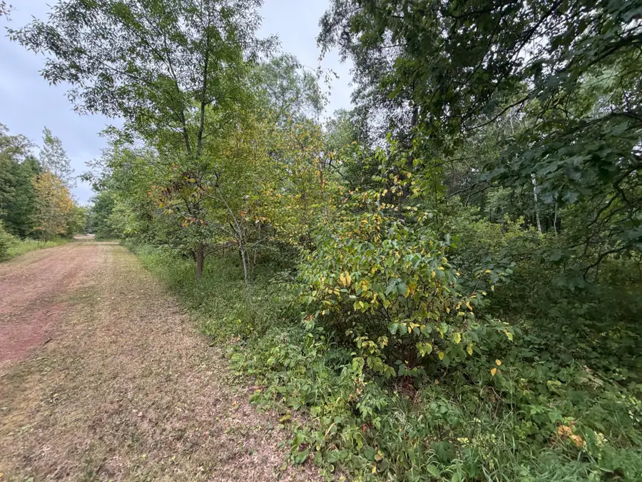 Lot 2 Whitetail, Crosby, MN 56441 - #2