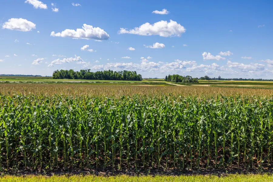 TBD 16 St Se Lot 3, Wimbledon, ND 58492 - #3