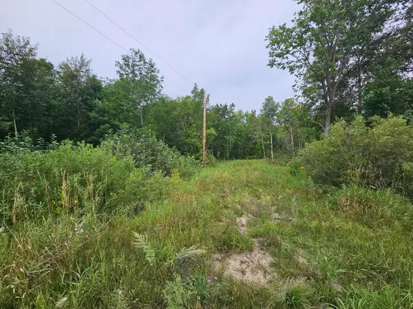 tbd Moose River Road E, Grygla, MN 56727