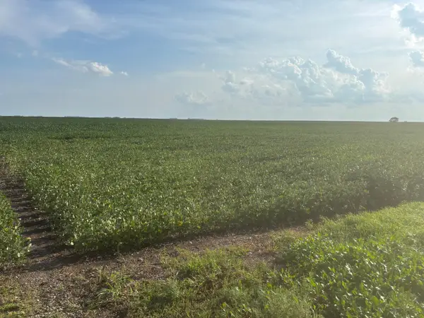 62495 310th Street And 620th, Chokio, MN 56221