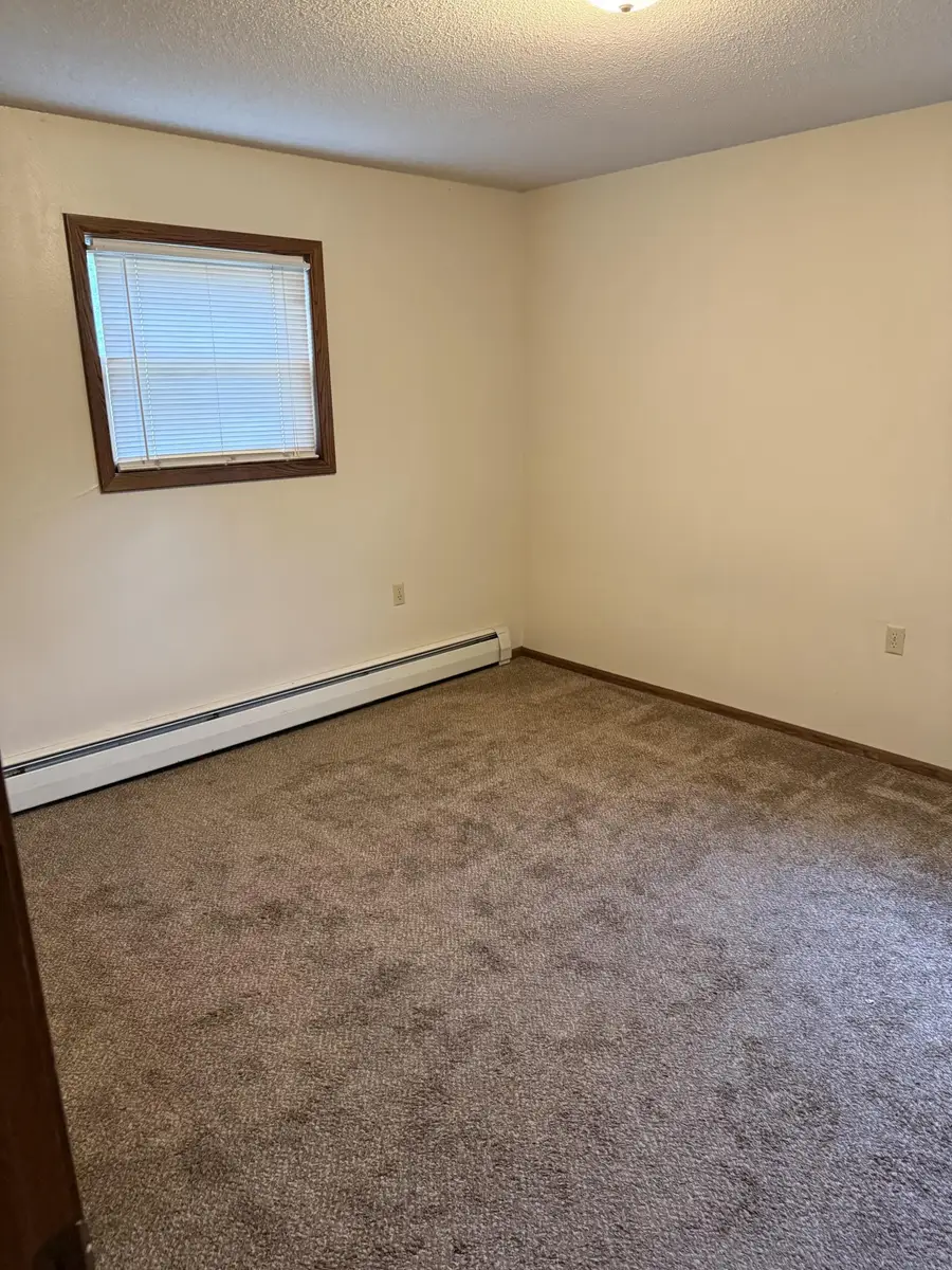 305 N Van Buren Avenue, Springfield, MN 56087 - #3