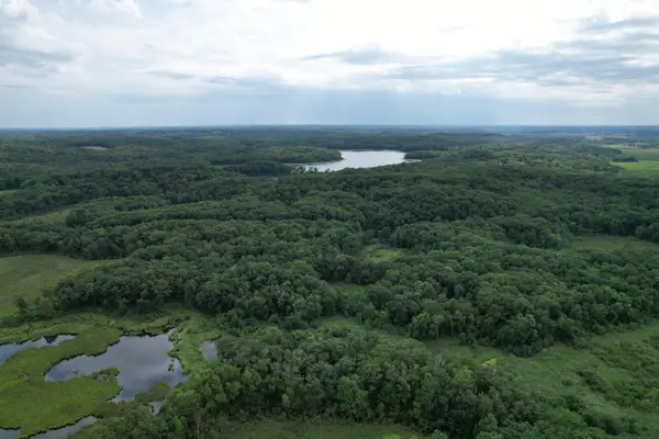 TBD 335th Avenue, , MN 56443
