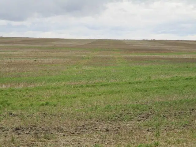 TBD Tbd, Sarles, ND 58339 - #1